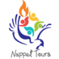 Nappet Tours and Travel logo